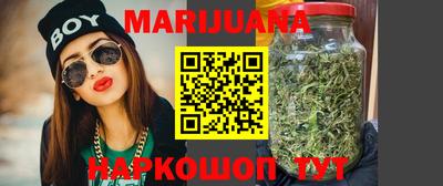 apvp Славгород