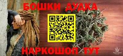 apvp Славгород
