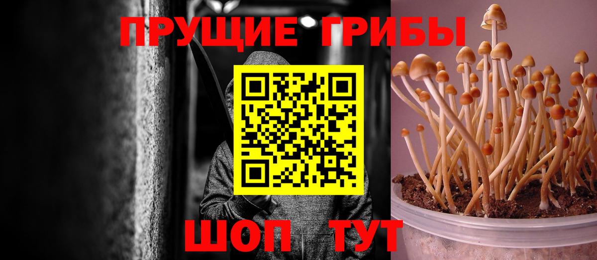 Галлюциногенные грибы мухоморы Орск